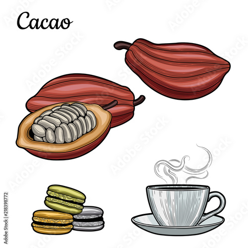 Cocoa. A Cup of hot cocoa-milk drink. Cocoa beans. Macaroon. Chocolate. Illustration. The isolated image on a white background. Vintage style.