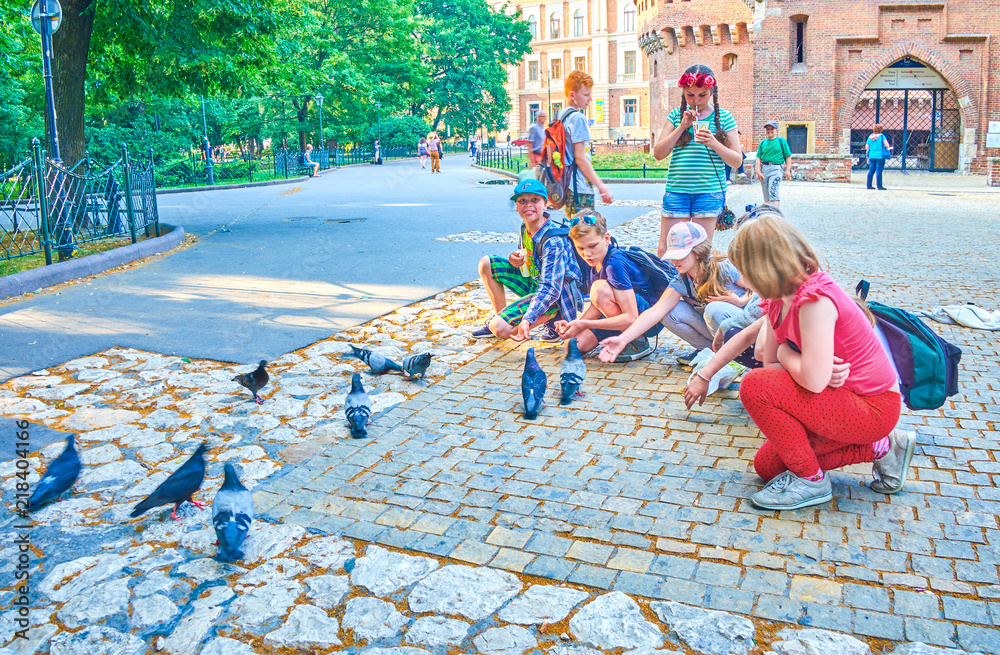 Fototapeta premium Kids and doves, Krakow, Poland