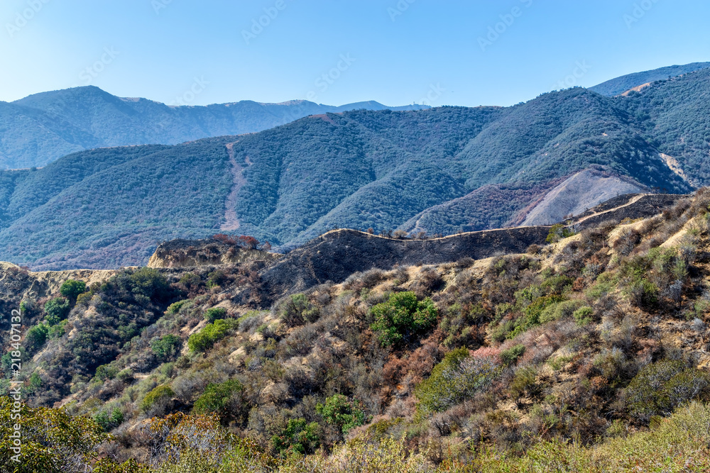 Hiking trail in popular Southern California trail system shows burn damage from recent forest fires