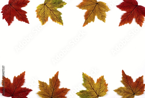  Close up of colorful autumn leaves on a white background and copy space.