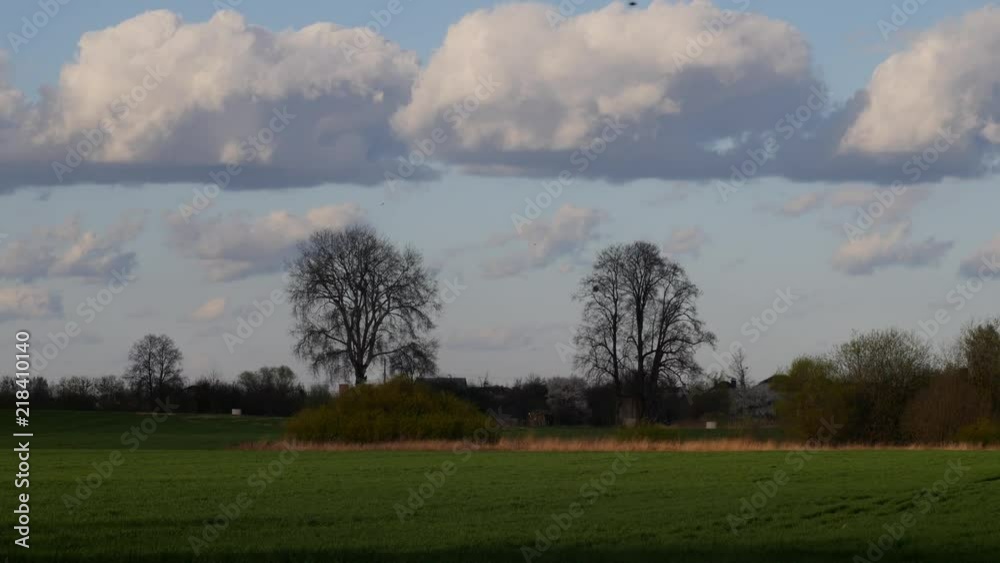The landscape is illuminated by pulsating sunlight The landscape is illuminated by pulsating sunlight