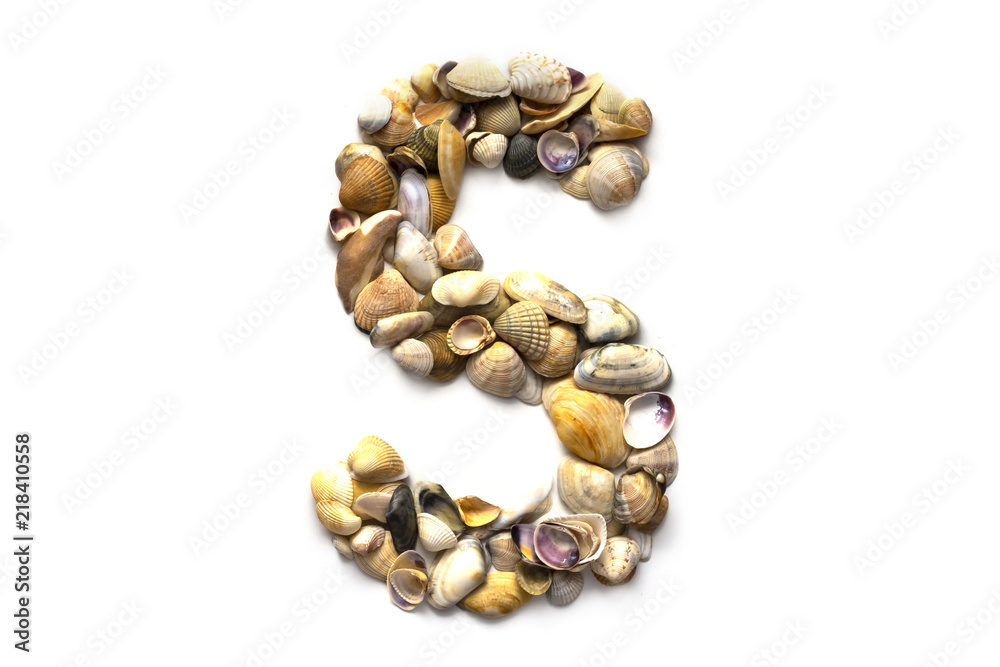 Alphabet of seashells on a white background. Letter S. Designer font Alphabet of seashells on a white background. Letter S. Designer font