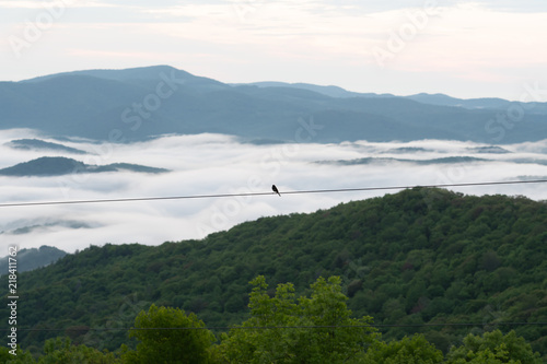 Bird Rests on Wire with Cloudy Mountain Valley