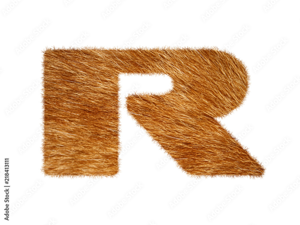 Furry font made of cat fur texture. Character render isolated on white. Furry font made of cat fur texture. Character render isolated on white.