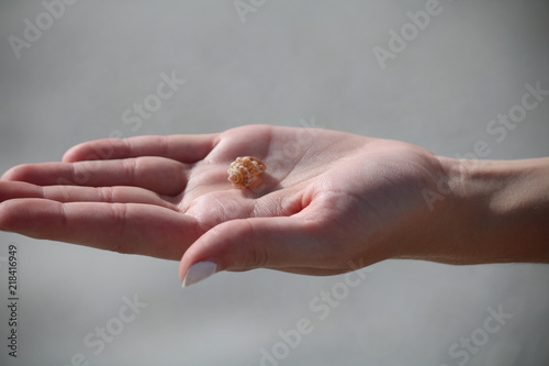 Sea Shell in Hand
