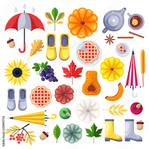 Fall vector icons, design elements on white background. Autumn harvest, food, accessories and leaves flat illustration.