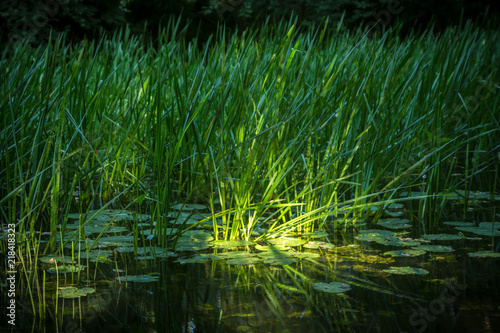 Krakower See  Kuchelmi    Nebeltal  Nebeldurchbruchstal  Krakow am. See  Mecklenburgische Seenplatte