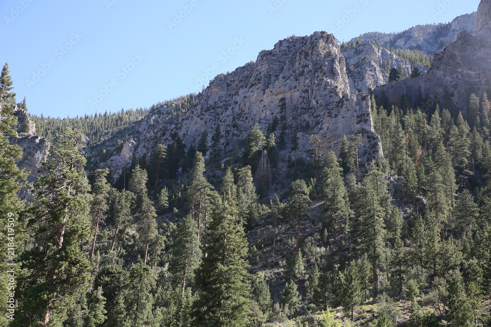 Rock Mountains with Trees