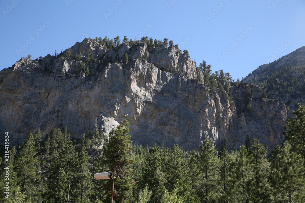Rock Mountains with Trees