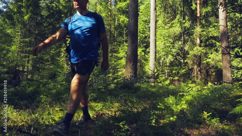A tourist with a backpack behind his back strolls through the forest. A tourist with a backpack behind his back strolls through the forest.