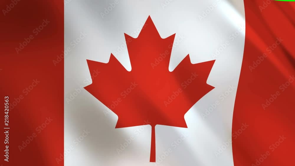 Canada Flag waving in the wind - looped animation background. Canada Flag waving in the wind - looped animation background.