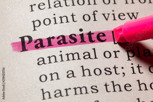 definition of parasite photo