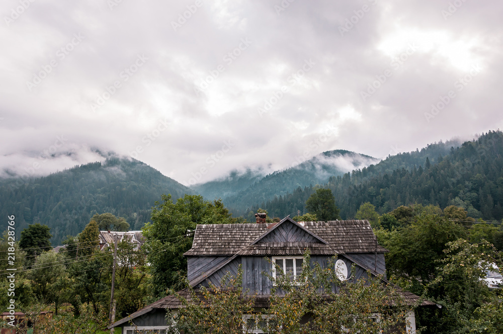 mountain valley with tall trees after a rain on a summer