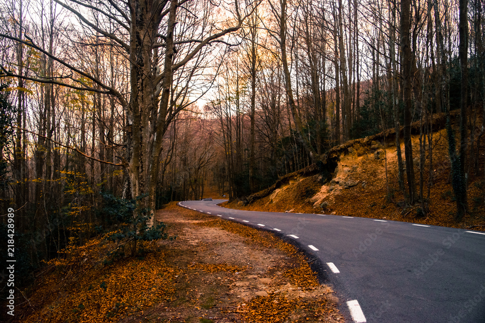 Obraz premium Curves - Montseny