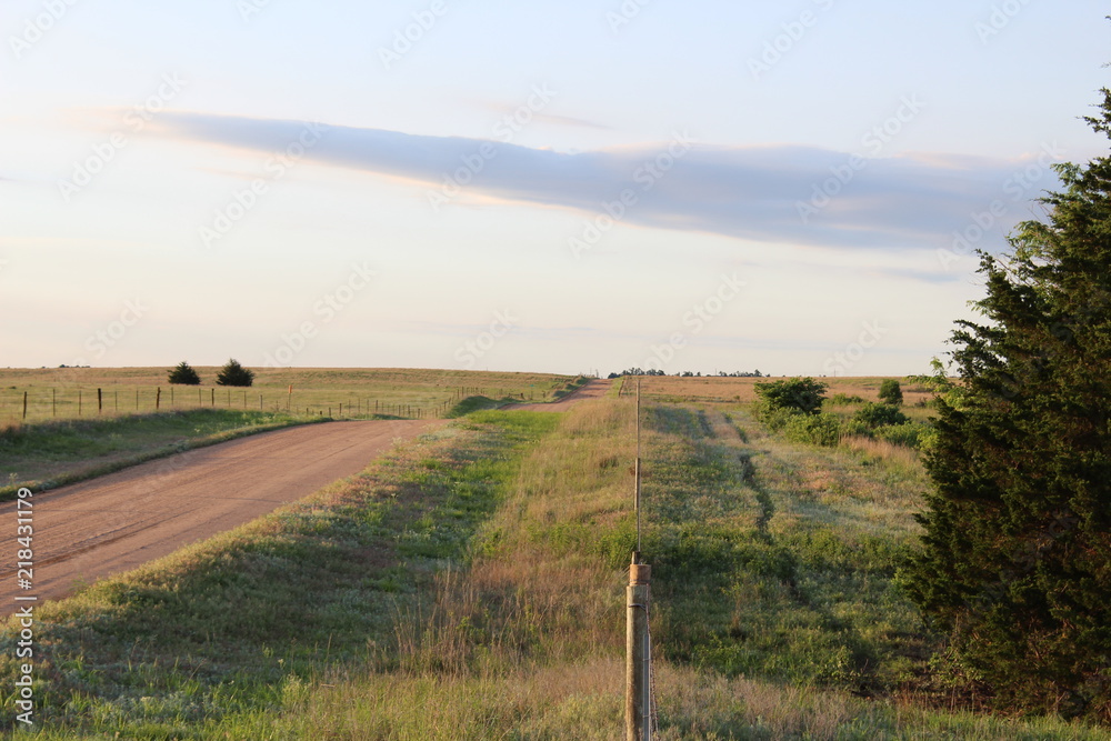 Fototapeta premium Fenceline