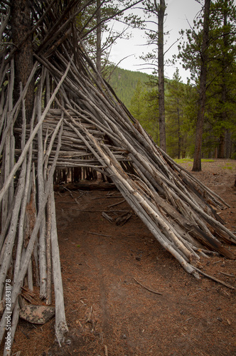 Teepee made out of branches in Arapaho National Forest