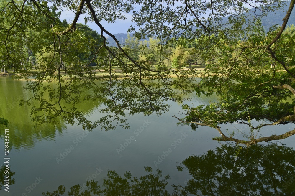 a greeny view at Taiping Lake