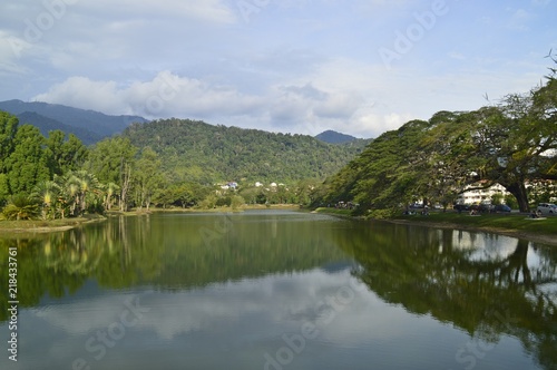 a view at Taiping Lake