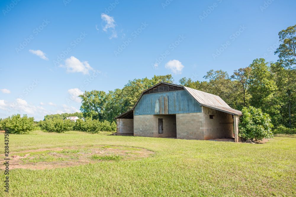 Lovely blue barn in a rural pasture in upstate South Carolina, with woods and a bright blue sky behind.