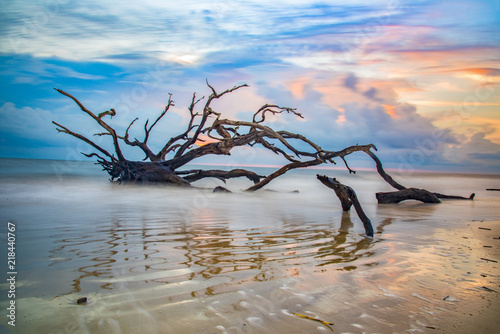 Boneyard Beach in Jekyll Island Georgia GA photo