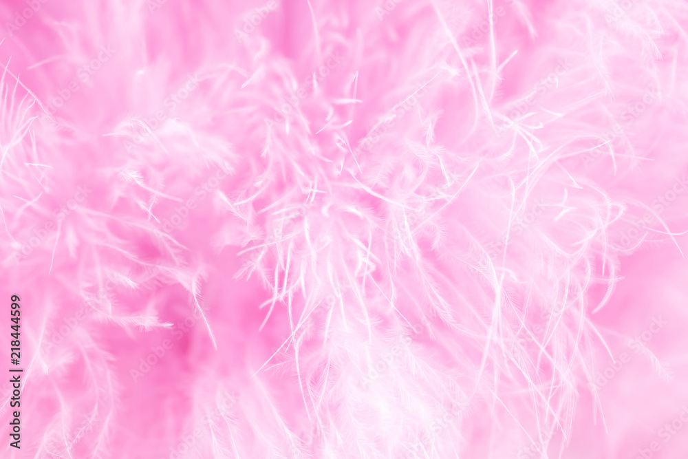 Macro shot of pink bird fluffy feathers in soft and blur style