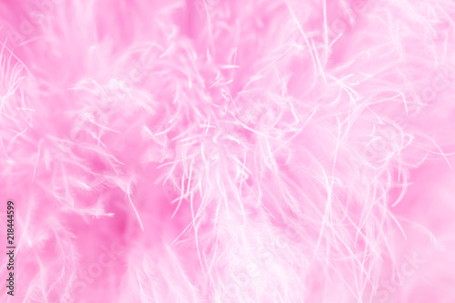 Macro shot of pink bird fluffy feathers in soft and blur style