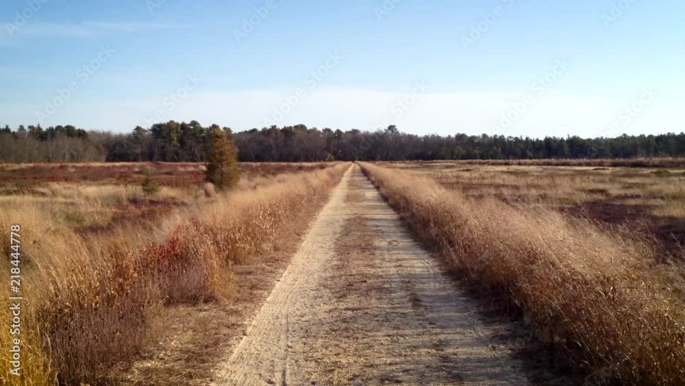 Pathway through dried tall grass field. Pathway through dried tall grass field.