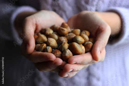  a handful of hazelnuts in female hands on a light background  
