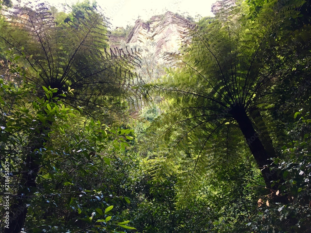 capturing green capturing green