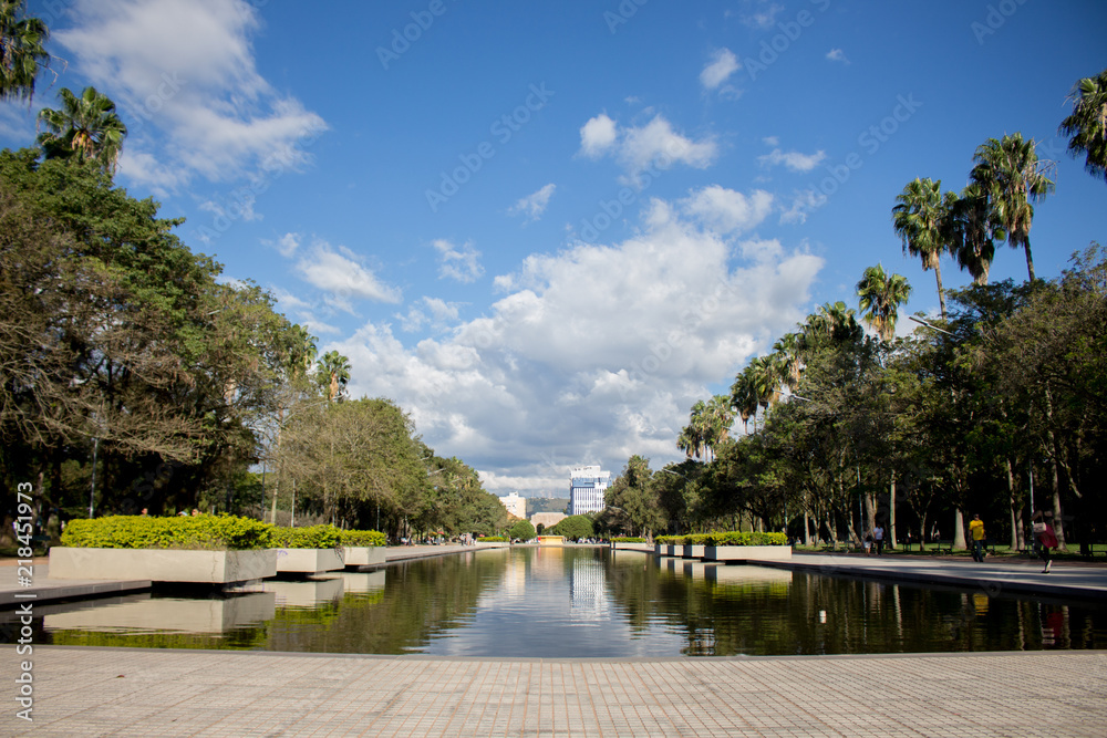 Fototapeta premium parque 