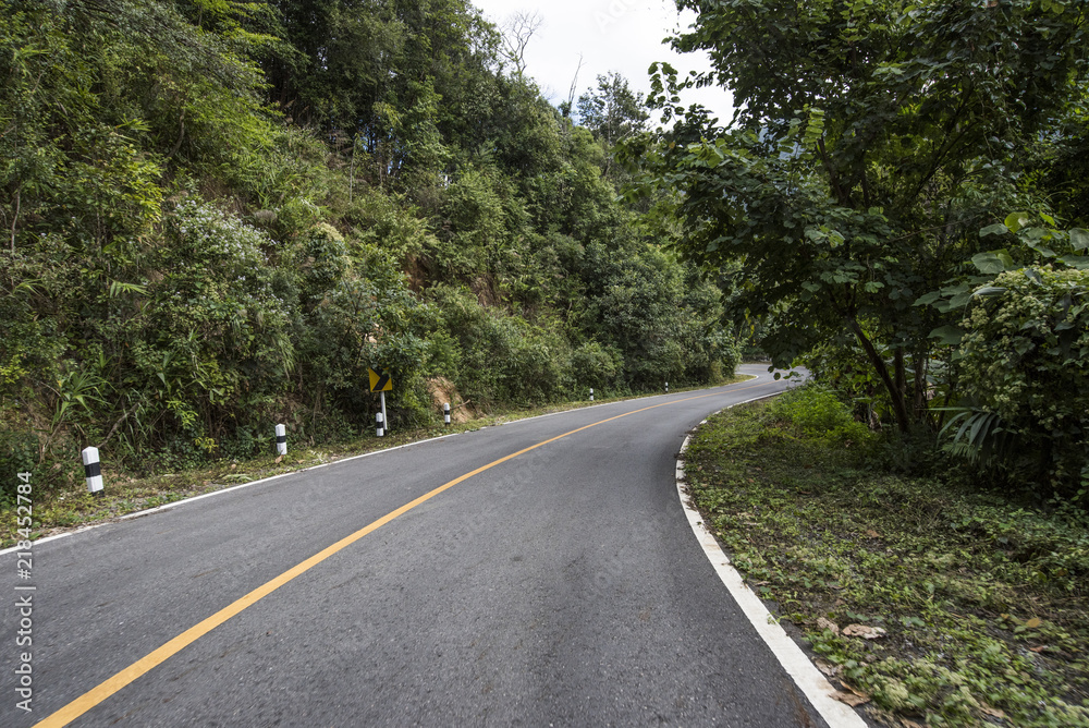 Country Road With Trees Beside