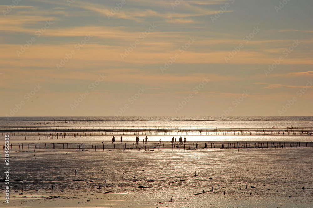 Seascape of oyster farm fields at sunset at a beach in Changhua, Taiwan