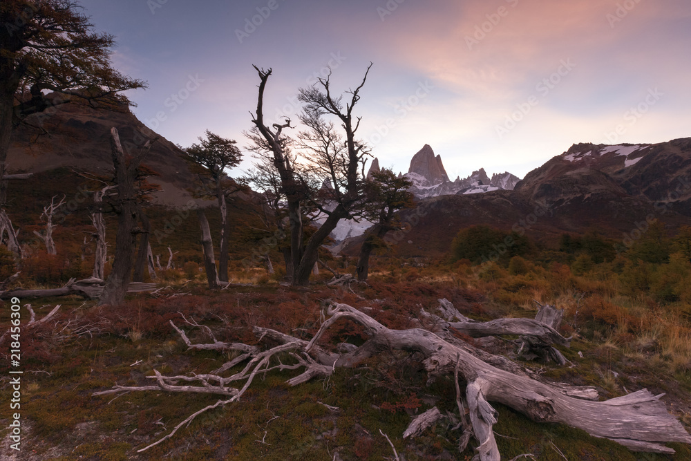 Patagonie