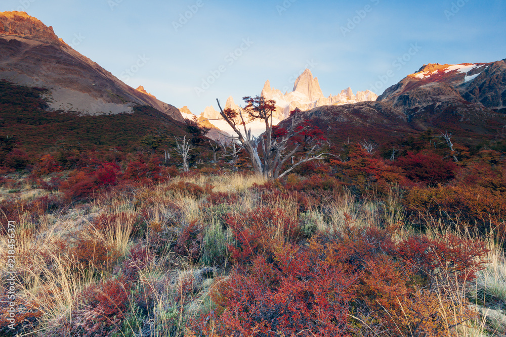 Fitz Roy Patagonie