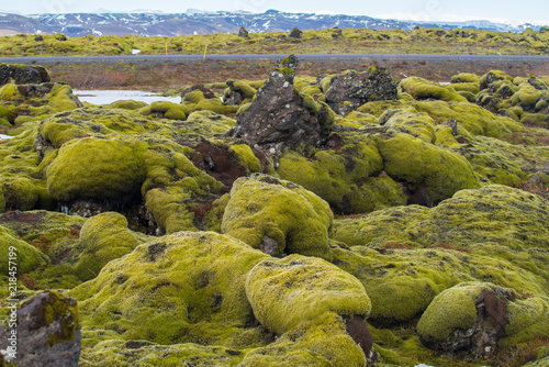 The spectacular landscape of Eldhraun lava moss field in Iceland. This impressive lava field the biggest lava flow in the world. 