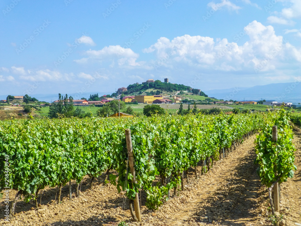 Laguardia. Pueblo del vino en Rioja Alavesa, España