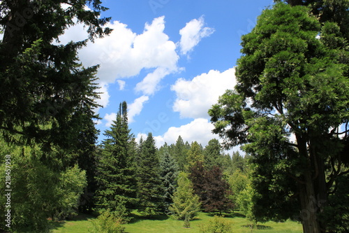 Arboretum Trees