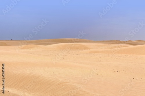 heiße sahara wüste mit ihren dünen