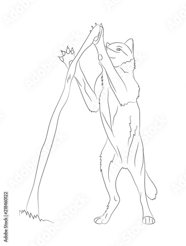 wolf stands, lines, vector