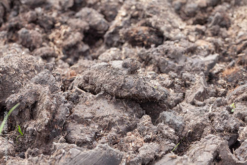 close up blank soil surface for grow plant