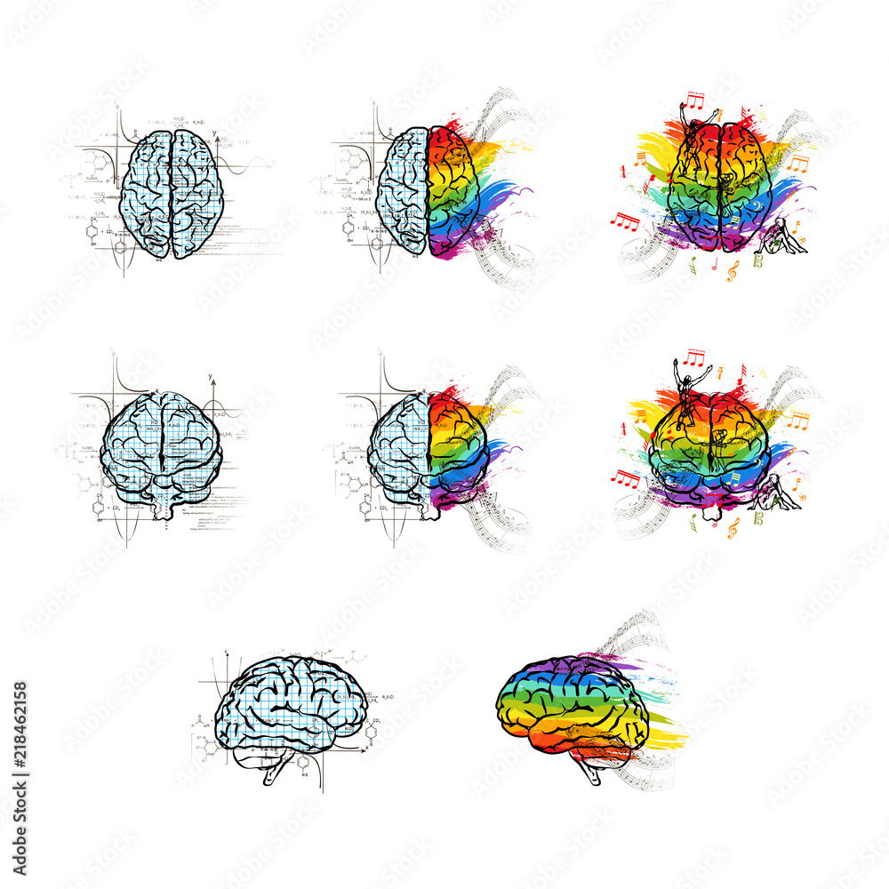 Set of technical and creative hemispheres on human brain in different views, left and right brain functions concepts isolated on white