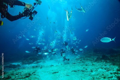 A scuba diver photographs fish.
