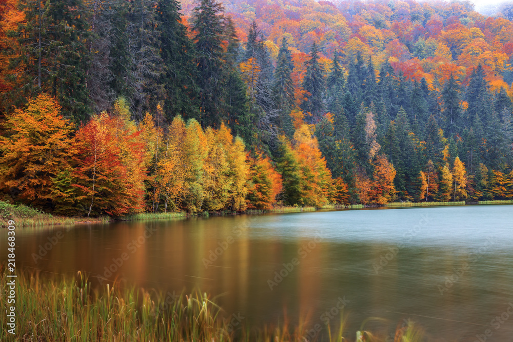 Fototapeta premium Autumn landscape at the edge of the Saint Ana Lake