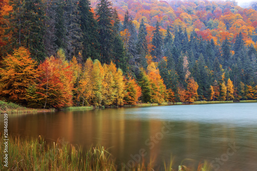 Autumn landscape at the edge of the Saint Ana Lake