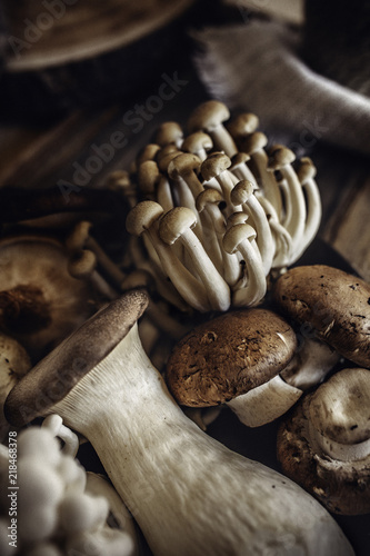mushrooms mix on dark background, vegetarian food.