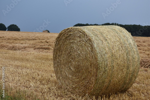 Hay on field