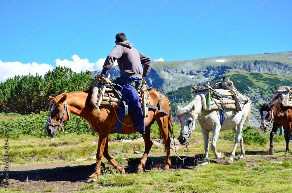 Heavily loaded mountain horses with a rider Heavily loaded mountain horses with a rider