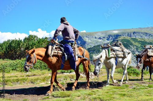 Heavily loaded mountain horses with a rider