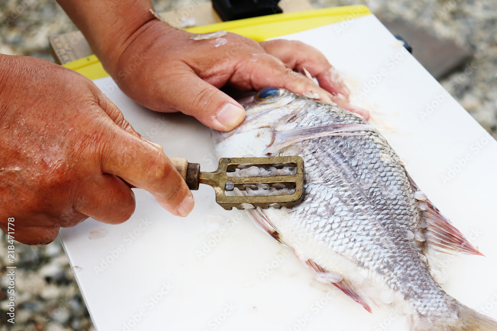うろこ引きを使った魚の鱗取りの写真イメージ素材 Stock Photo | Adobe Stock