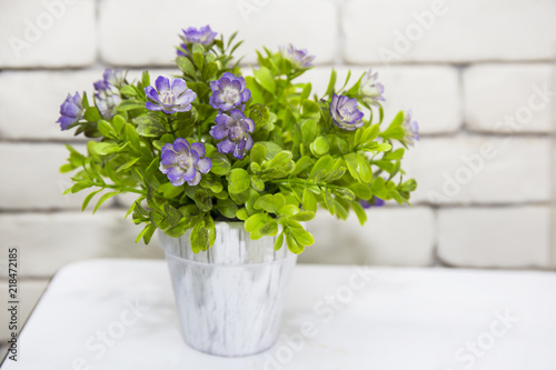 Small purple flowers in white ceramic pots, patterned with transparent plastic pots on the white table and white brick wall backdrop to decorate the living room in a casual way.